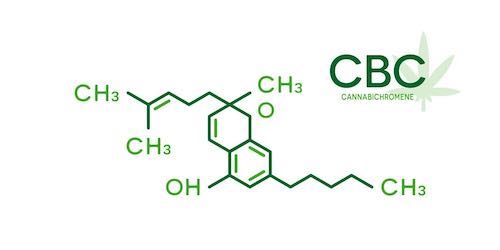 Discover the Benefits of Cannabichromene (CBC) Oil