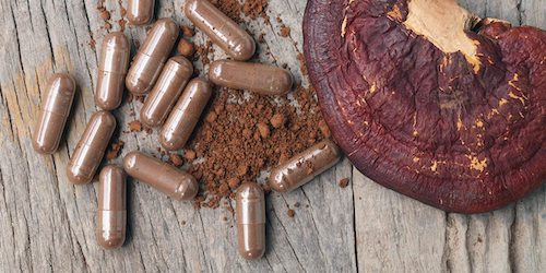 Top 10 Benefits of Mushroom Supplements