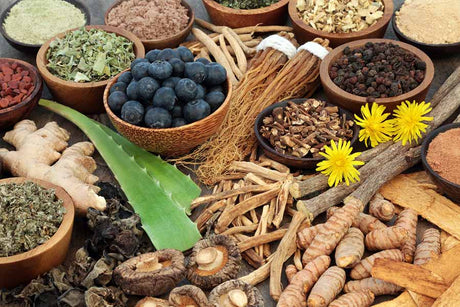 What Are Adaptogens?