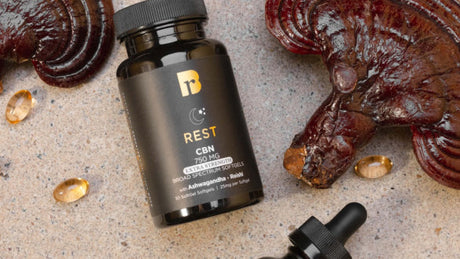 Benefits of Ashwagandha & Reishi for Better Sleep