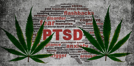 I Was Stabbed and Left for Dead. Now I’m Living with PTSD.