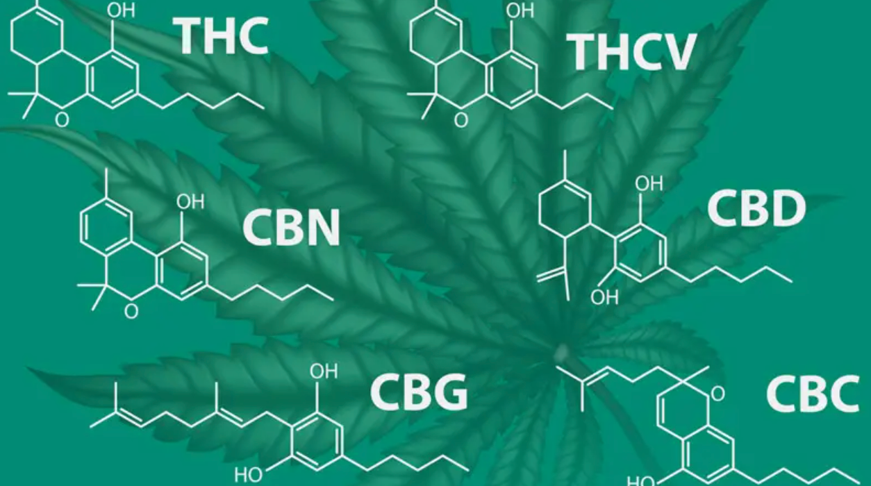 CBD, CBN, CBG, CBC Products - What’s The Difference? | The Raw Botanics Co.