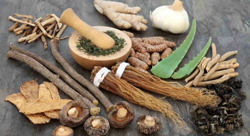 Exploring the Wonders of Adaptogens: Their Natural Powers and Popular Varieties