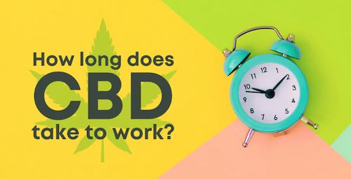 How Long Does CBD Oil Take to Work? Understanding the Timelines- TRBC