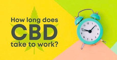 How Long Does CBD Oil Take to Work? Understanding the Timelines and Benefits