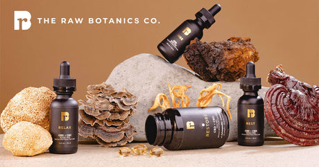Functional Mushrooms for Wellness Myths & Facts