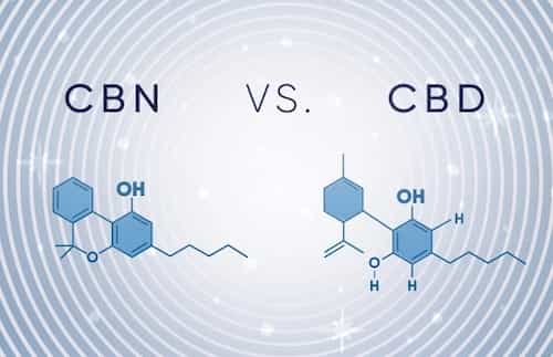 CBN Versus CBD: A Guide To Two Of The Most Prominent – The Raw Botanics Co.