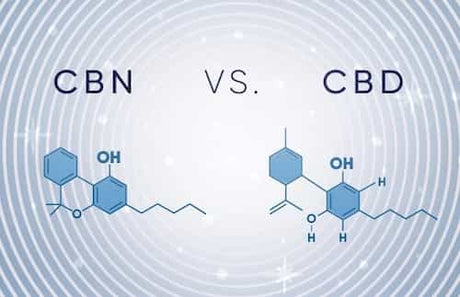 CBN versus CBD: A Comprehensive Guide to Two of the Most Prominent Cannabinoids