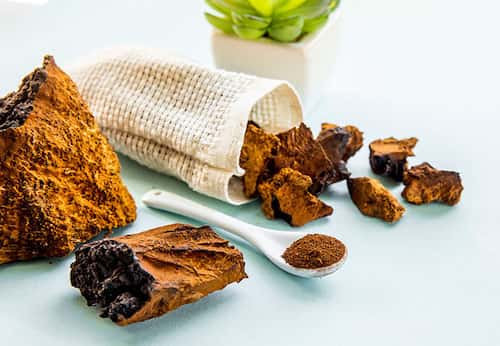 Top 5 Benefits of Chaga Mushrooms: A Comprehensive Guide