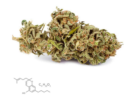 Cannabichromene Oil (CBC): What Is It and What Is It Good For?
