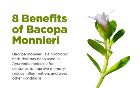 8 Benefits of Bacopa Monnieri