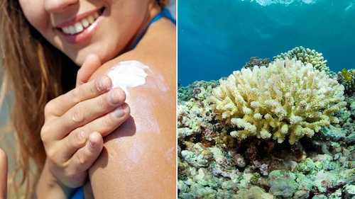 What is Reef-Safe or Reef Friendly Sunscreen